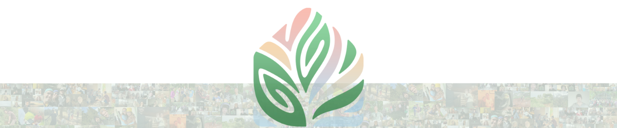 Vivero Logo