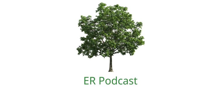 Episode 22 - Sarah Woodrow, Clare Atwell and Niels Devissher: Introduction to the Earth Regenerators Culture Center